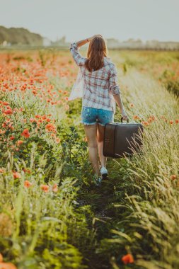 Kırmızı vahşi haşhaş alan