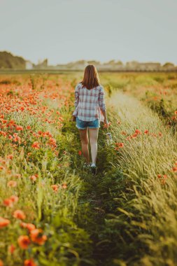 Kırmızı vahşi haşhaş alan