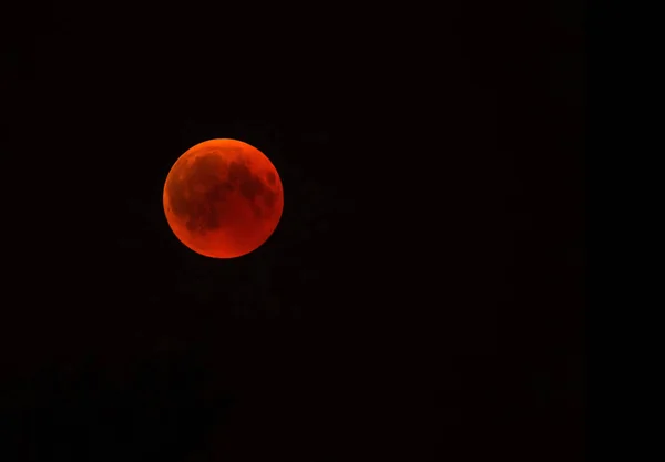 Temmuz 2018, sözde kanlı ay ay tutulması. Polonya, sağ tarafta kopya alanı ile yatay görünüm.