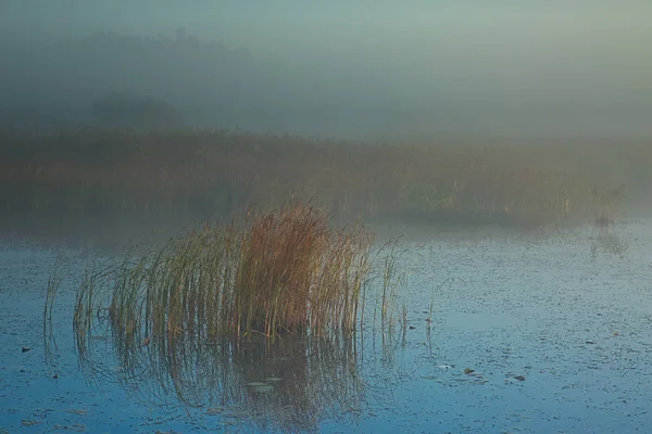 Gruesa Niebla Otoño Envuelve Lago Del Medio Bosque Con Grupos —  Fotos de Stock