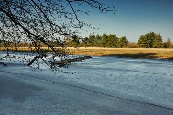Bug Nehri donmuş Şubesi