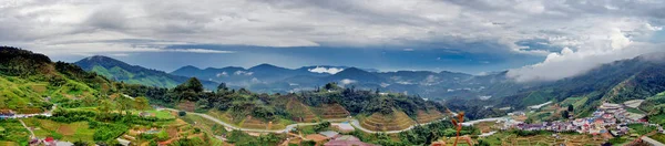 Malaysien, panorama von teeplantagen im cameron highland Stockbild