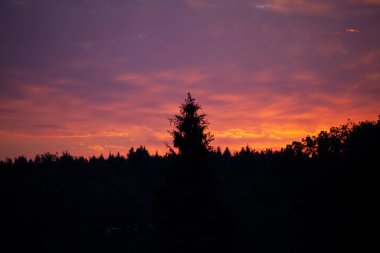 Kırmızı-pembe bulutlar. Gün batımında bulutlar.