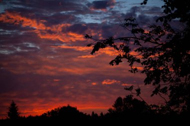 Kırmızı-pembe bulutlar. Gün batımında bulutlar.