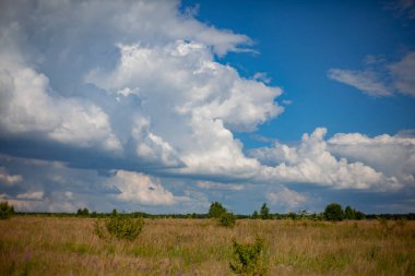 Bulutlu doğal manzara alanı. Sıcak bir yaz gününde kümülüs bulutları. Uzakta ormanı olan açık bir alan..