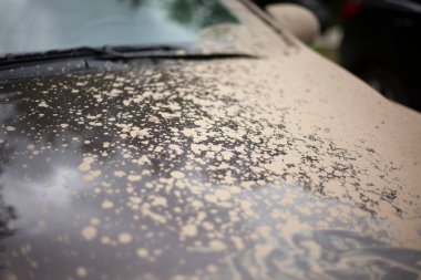 Araba çamurla kaplı. Su birikintilerinden geçtikten sonra araba..