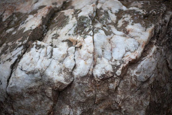 Textura de piedra blanca. Raza rocosa . — Foto de Stock