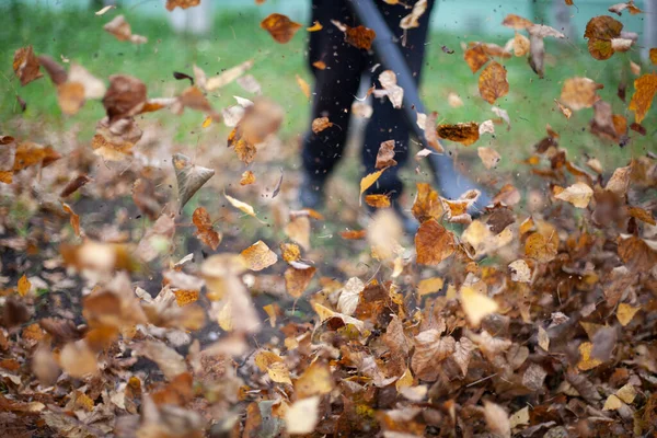 Nettoyage des feuilles sèches avec une éolienne. — Photo