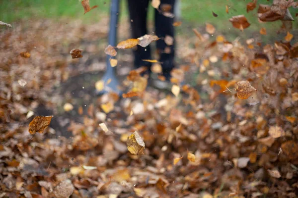 Nettoyage des feuilles sèches avec une éolienne. — Photo