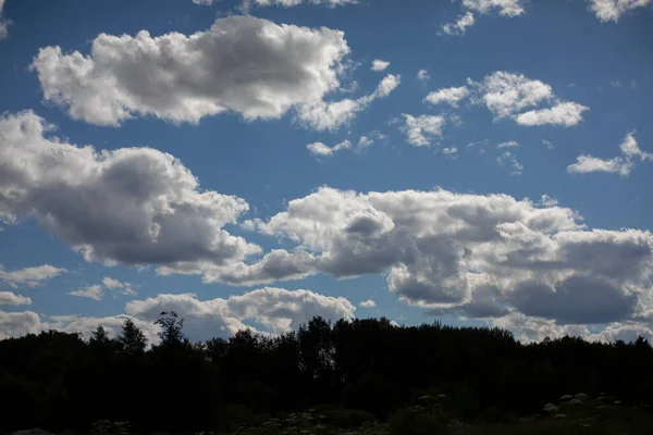 Witte wolken in de blauwe lucht boven het zwarte bos. — Stockfoto