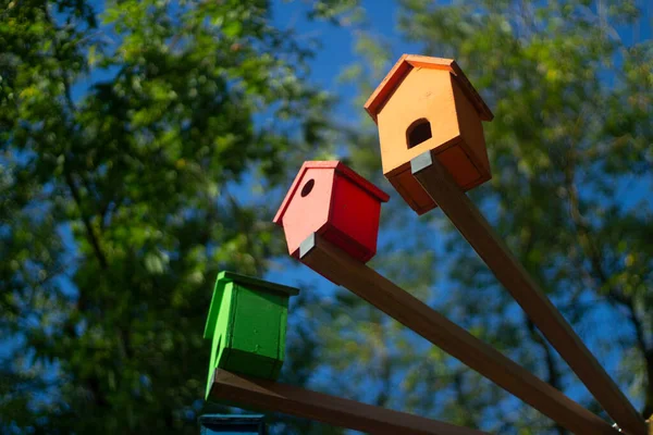 Casas de pássaros. Pássaros coloridos na rua. — Fotografia de Stock