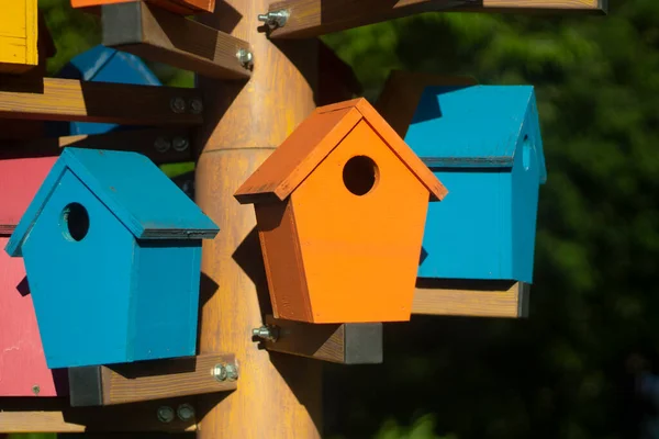 Domki dla ptaków. Kolorowe domki dla ptaków na ulicy. — Zdjęcie stockowe