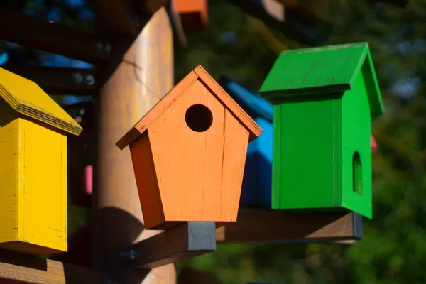 Casas de pássaros. Pássaros coloridos na rua. — Fotografia de Stock