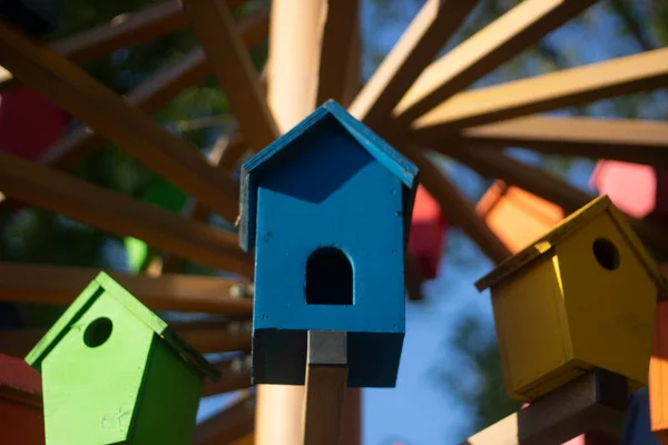 Casas de pássaros. Pássaros coloridos na rua. — Fotografia de Stock