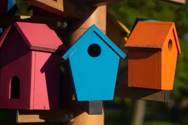 Casas de pássaros. Pássaros coloridos na rua. — Fotografia de Stock