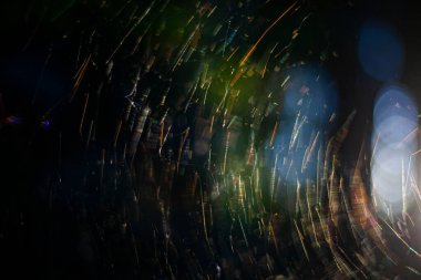 Işık ışınlarında örümcek ağı.