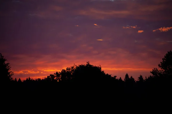 Hajnal előtti égbolt és erdő. Reggeli égbolt háttér. — Stock Fotó
