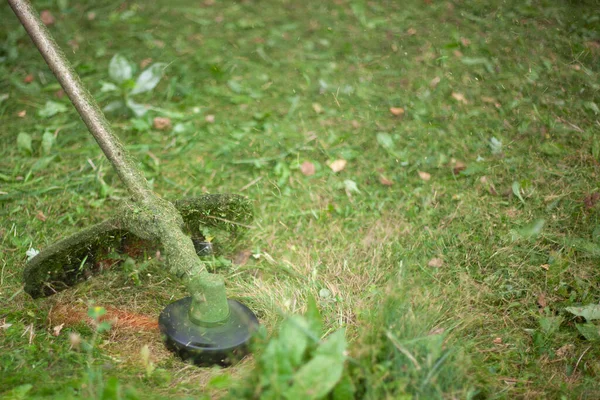 Trimming the lawn. Gardener\'s work on the lawn.