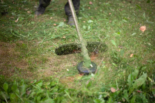 Çimleri buduyorum. Bahçedeki bahçıvanlık işi.. — Stok fotoğraf