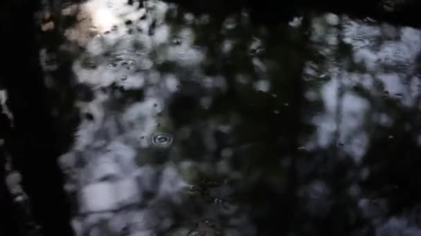 水の動きの質感 ストリームストリーム 水の春の降下 水面の動きのマクロショット 穏やかな水の流れの背景 自然界の静けさ — ストック動画