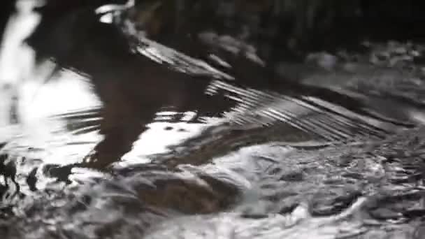 Textura Del Agua Movimiento Corriente Corriente Descenso Primaveral Agua Macro — Vídeo de stock