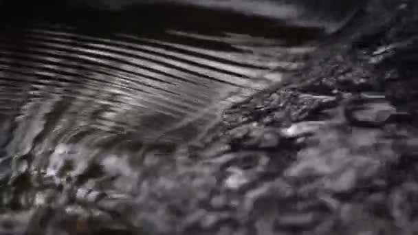 Texture Water Motion Stream Stream Spring Descent Water Macro Shot — Stock Video