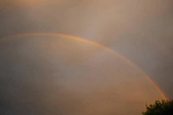 Arco iris en el cielo. Hermoso fondo con arco iris colorido. — Foto de Stock