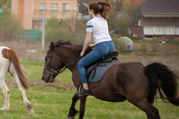 A menina está montando um cavalo. — Fotografia de Stock