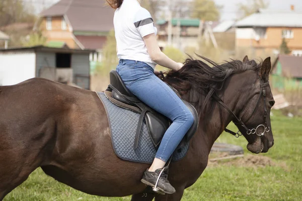 La ragazza sta cavalcando un cavallo. — Foto Stock