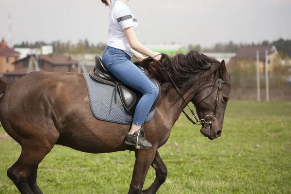 The girl is riding a horse. — Stock Photo, Image