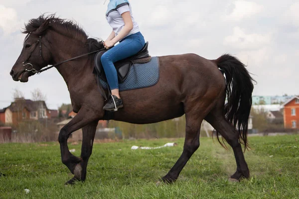 A menina está montando um cavalo. — Fotografia de Stock