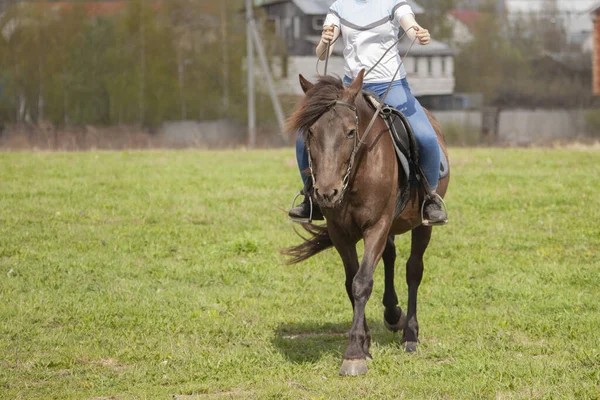 Het meisje rijdt op een paard. — Stockfoto