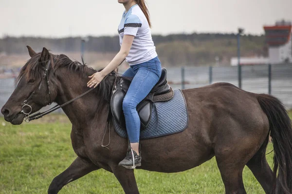 A menina está montando um cavalo. — Fotografia de Stock