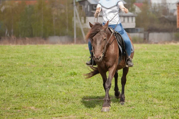 The girl is riding a horse. Stock Picture