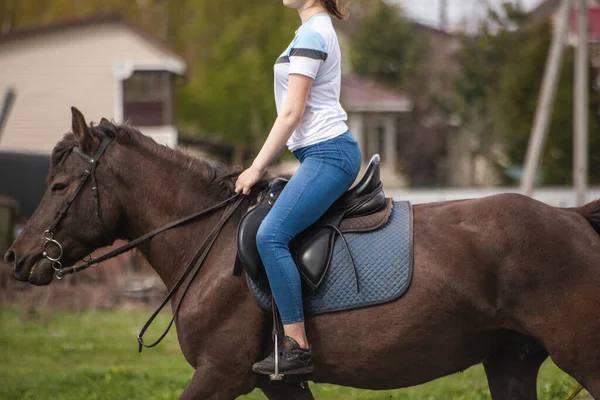 A menina está montando um cavalo. — Fotografia de Stock