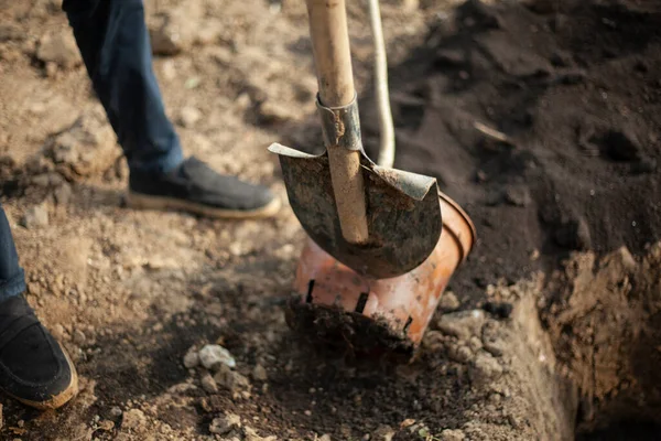 Sekop tukang kebun. Dia memecahkan pot dengan bibit dengan sekop. — Stok Foto