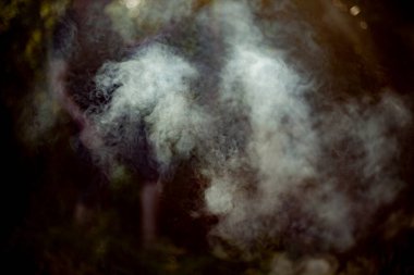 Doğal ışıkta iç. Barbeküde duman çıkıyor.. 