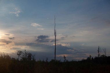 Cennetlik manzara. Akşam bulutları. Doğanın güzelliği. Kasvetli gökyüzü arka planı. 