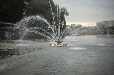 Sudaki çeşme. Şehir parkındaki çeşme. Su jetleri. Summer City dekorasyonu. Gölet boyunca yürü.