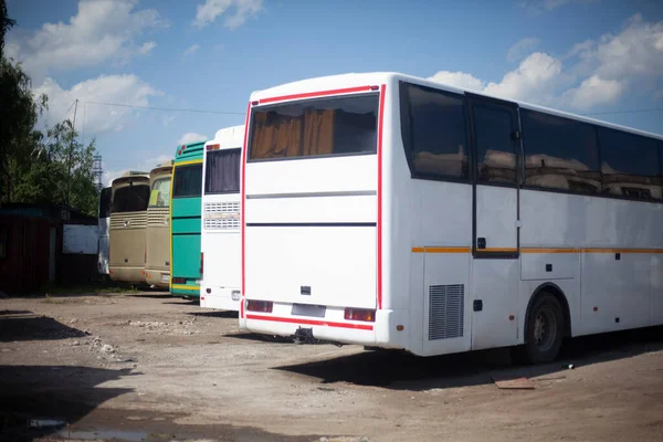 Bus parking. The buses are in a row.