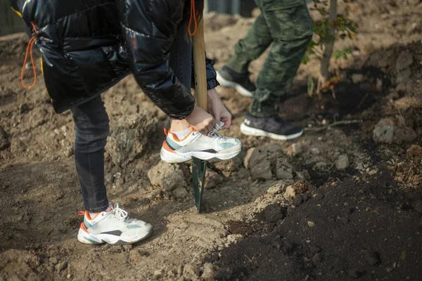 Uma criança com uma pá toma terra. Plantar plantas no parque. A menina está enterrando uma planta cultivada de sementes. — Fotografia de Stock