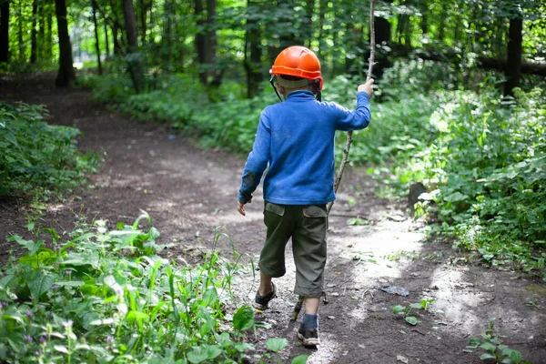 El niño camina por el bosque. El chico se perdió en el bosque. El preescolar huyó de casa.. —  Fotos de Stock