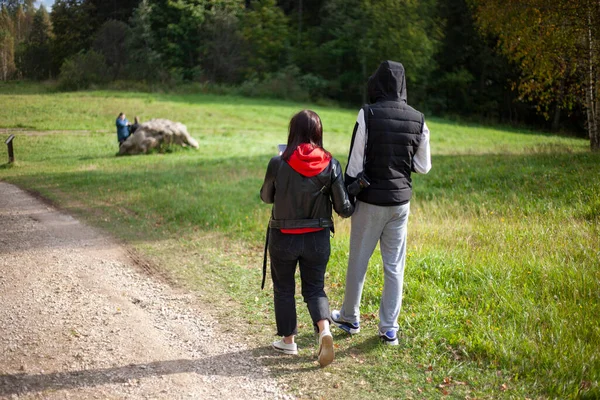 Gå i parken. En man och en kvinna står på vägen i varm höst — Stockfoto