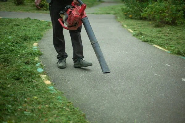 The gardener cleans up the park path. Leaf blower.