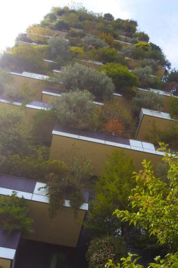 Milan (İtalya), 10 Eylül 2025 - Bosco Verticale - Dikey bir ormanın ilk örneği Hines Italia 'nın kentsel yenileme projesi kapsamında Ekim 2014' te Milano 'da Porta Nuova bölgesinde açıldı. (Edson de souza 2nci bölüm))       