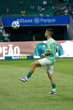 Sao Paulo (SP), 09 / 13 / 2025 - Brezilya Futbol Şampiyonası 'nın 23. turu için Palmeiras ve Internacional arasındaki maç, 13 Eylül 2025. (Fabricio bomjardim\ Yeni 2)            
