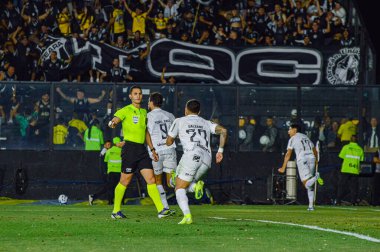 Rio de Janeiro (RJ), 09 / 14 / 2025 - SPORTS / BRAZILIAN / BRAZIL / VASCO / RJ - Vasco ile Ceara arasındaki maç, Rio de Janeiro 'daki Sao Januario Stadyumu' nda düzenlenen 2025 Brezilya Şampiyonası için geçerli. (Gabby costa\ the newws2)        