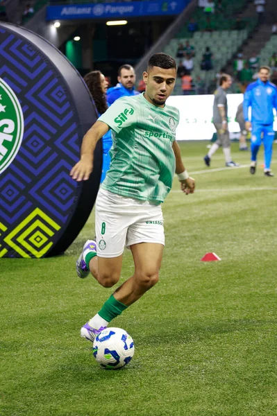 Sao Paulo (SP), 09 / 13 / 2025 - Brezilya Futbol Şampiyonası 'nın 23. turu için Palmeiras ve Internacional arasındaki maç, 13 Eylül 2025. (Fabricio bomjardim\ Yeni 2)            