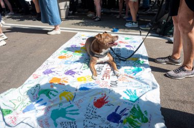 13 Eylül 2025, New York, New York, ABD: 13 Eylül 2025 tarihinde New York 'ta 23. Cadde' de Broadway 'de düzenlenen Hayvan Hakları Mart 2025 yürüyüş öncesi mitinginde bir köpek yalan söylüyor. (M10 'lar\ yeni 2ler))