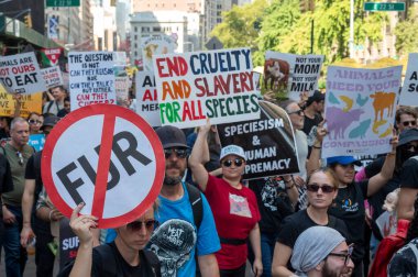 13 Eylül 2025, New York, New York, ABD: Yüzlerce hayvan hakları protestocusu 13 Eylül 2025 'te New York' ta Broadway 'de Hayvan Hakları Yürüyüşü 2025' e katılıyor. (M10 'lar\ yeni 2ler))         